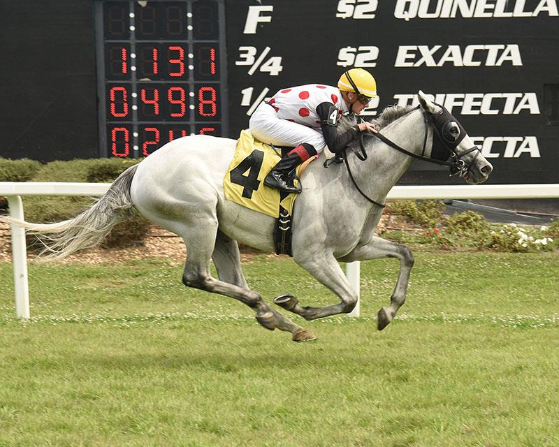 World Approval handily takes 100,000 Tampa Turf Classic